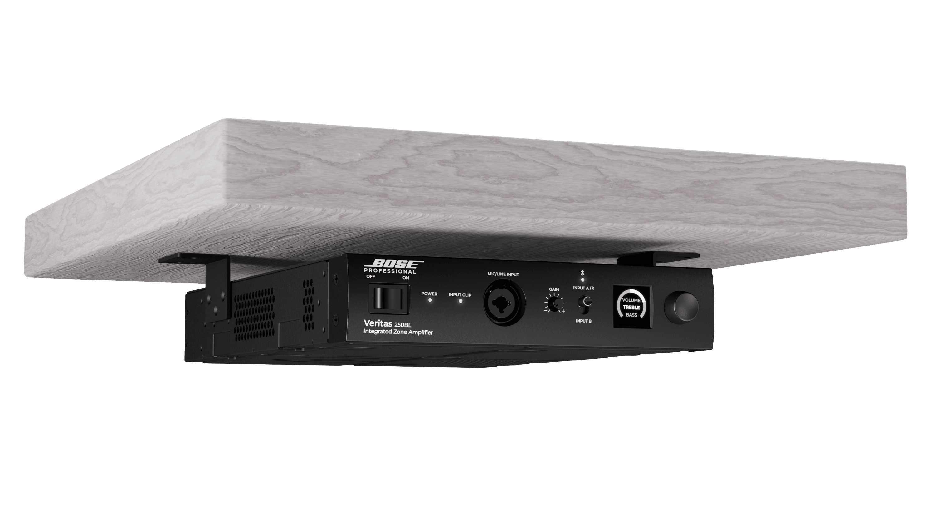 Bose Veritas 250BL 多功能商業(yè)功率放大器6